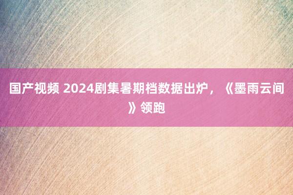 国产视频 2024剧集暑期档数据出炉，《墨雨云间》领跑