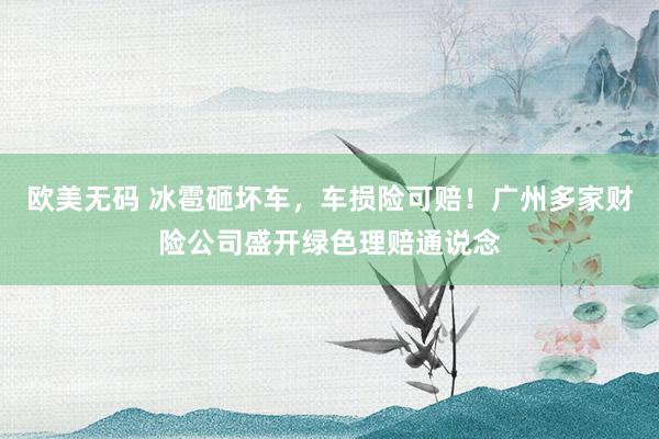 欧美无码 冰雹砸坏车，车损险可赔！广州多家财险公司盛开绿色理赔通说念