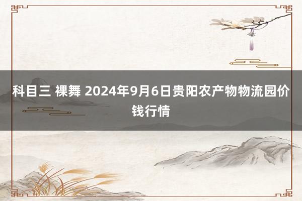 科目三 裸舞 2024年9月6日贵阳农产物物流园价钱行情