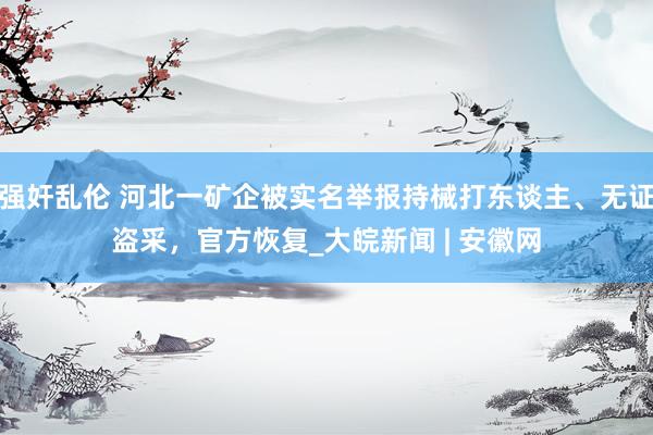 强奸乱伦 河北一矿企被实名举报持械打东谈主、无证盗采，官方恢复_大皖新闻 | 安徽网