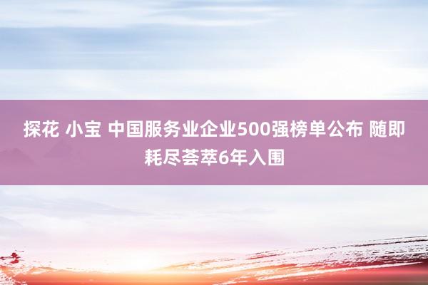 探花 小宝 中国服务业企业500强榜单公布 随即耗尽荟萃6年入围