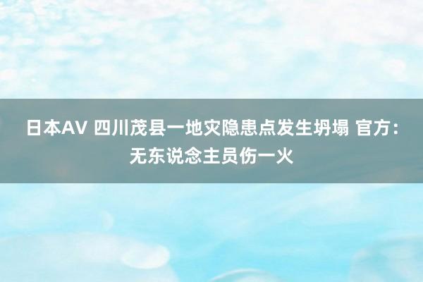 日本AV 四川茂县一地灾隐患点发生坍塌 官方：无东说念主员伤一火