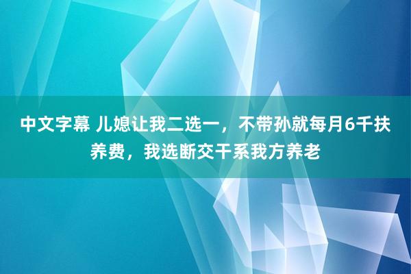 中文字幕 儿媳让我二选一，不带孙就每月6千扶养费，我选断交干系我方养老