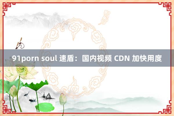 91porn soul 速盾：国内视频 CDN 加快用度