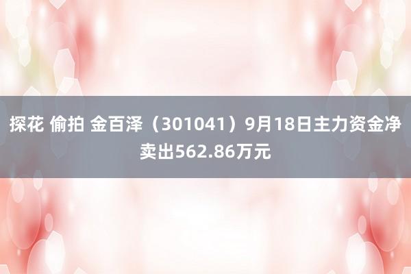 探花 偷拍 金百泽（301041）9月18日主力资金净卖出562.86万元