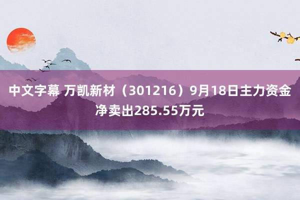 中文字幕 万凯新材（301216）9月18日主力资金净卖出285.55万元