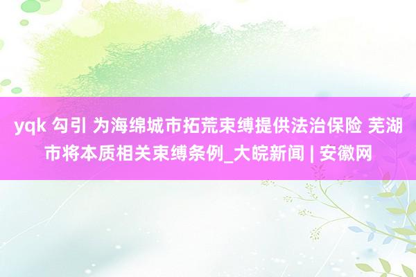 yqk 勾引 为海绵城市拓荒束缚提供法治保险 芜湖市将本质相关束缚条例_大皖新闻 | 安徽网