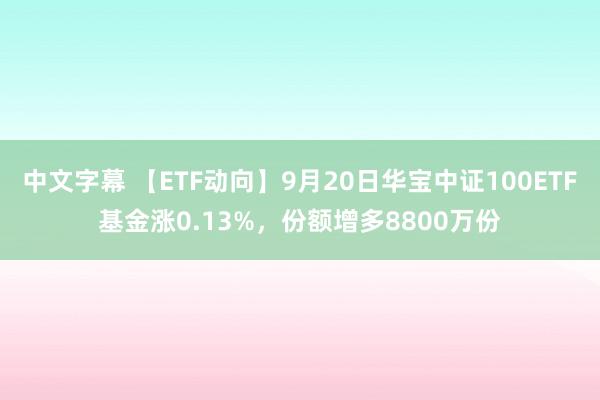 中文字幕 【ETF动向】9月20日华宝中证100ETF基金涨0.13%，份额增多8800万份