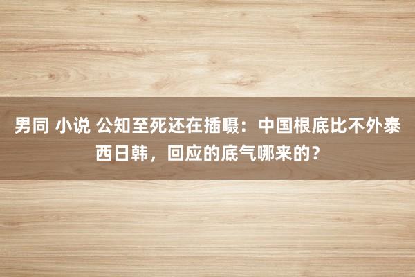 男同 小说 公知至死还在插嗫：中国根底比不外泰西日韩，回应的底气哪来的？