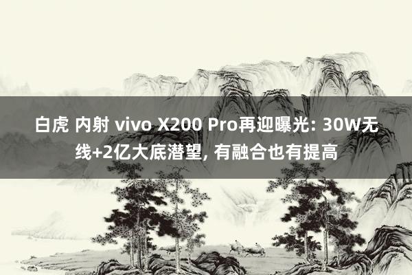 白虎 内射 vivo X200 Pro再迎曝光: 30W无线+2亿大底潜望， 有融合也有提高