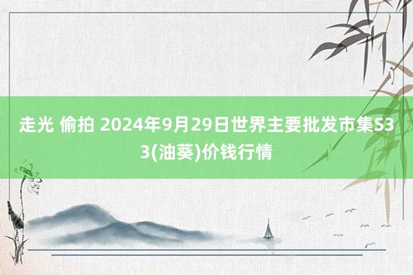 走光 偷拍 2024年9月29日世界主要批发市集S33(油葵)价钱行情