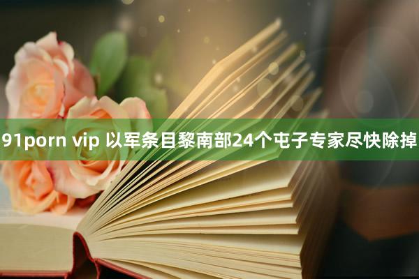 91porn vip 以军条目黎南部24个屯子专家尽快除掉