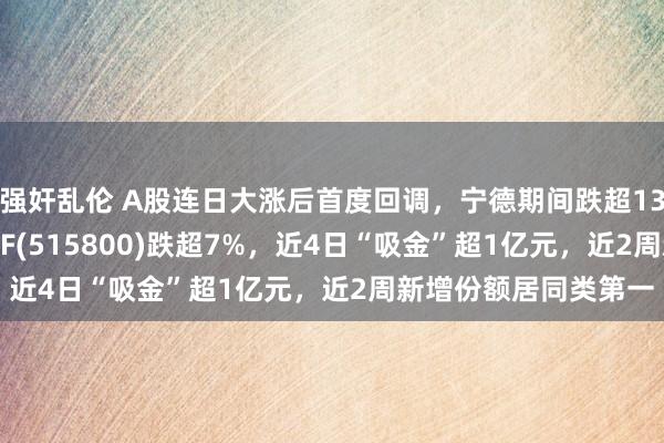 强奸乱伦 A股连日大涨后首度回调，宁德期间跌超13%，宽基标杆800ETF(515800)跌超7%，近4日“吸金”超1亿元，近2周新增份额居同类第一