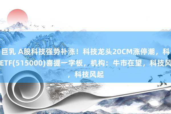 巨乳 A股科技强势补涨！科技龙头20CM涨停潮，科技ETF(515000)喜提一字板，机构：牛市在望，科技风起