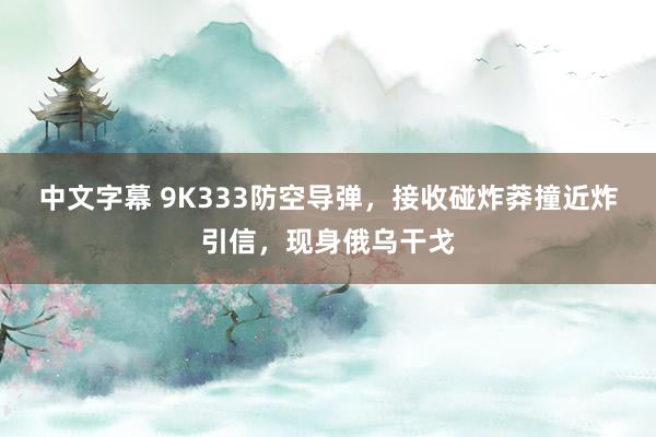 中文字幕 9K333防空导弹，接收碰炸莽撞近炸引信，现身俄乌干戈