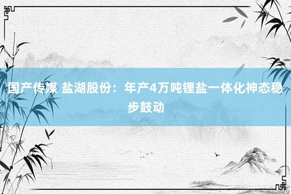 国产传媒 盐湖股份：年产4万吨锂盐一体化神态稳步鼓动