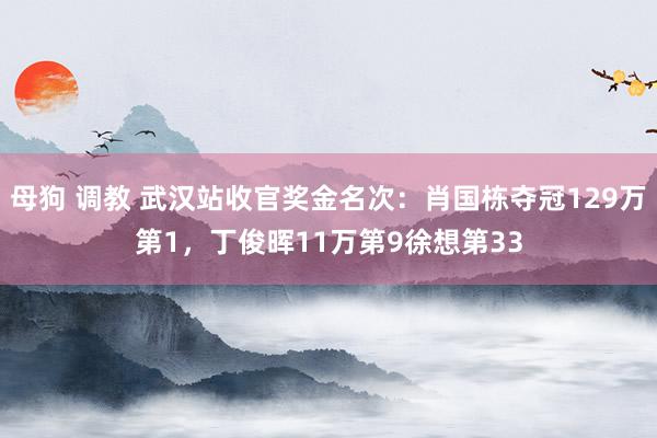 母狗 调教 武汉站收官奖金名次：肖国栋夺冠129万第1，丁俊晖11万第9徐想第33