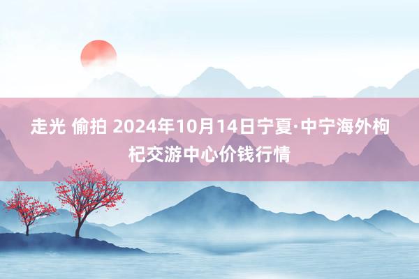 走光 偷拍 2024年10月14日宁夏·中宁海外枸杞交游中心价钱行情