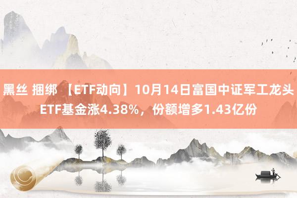 黑丝 捆绑 【ETF动向】10月14日富国中证军工龙头ETF基金涨4.38%，份额增多1.43亿份