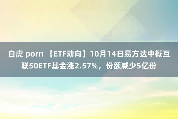 白虎 porn 【ETF动向】10月14日易方达中概互联50ETF基金涨2.57%，份额减少5亿份