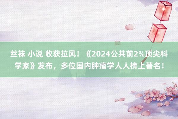 丝袜 小说 收获拉风！《2024公共前2%顶尖科学家》发布，多位国内肿瘤学人人榜上著名！