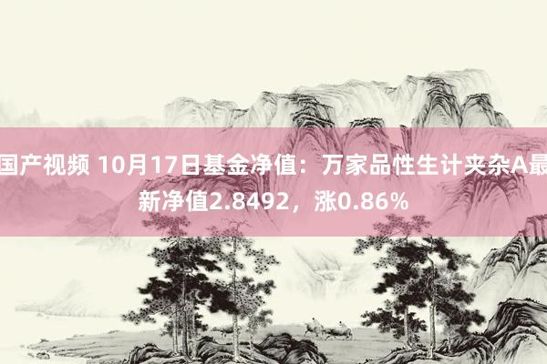 国产视频 10月17日基金净值：万家品性生计夹杂A最新净值2.8492，涨0.86%