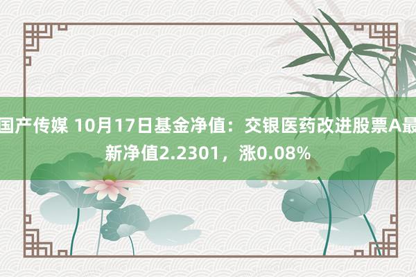 国产传媒 10月17日基金净值：交银医药改进股票A最新净值2.2301，涨0.08%