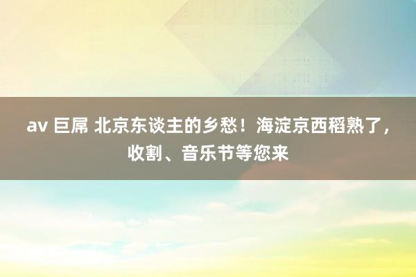 av 巨屌 北京东谈主的乡愁！海淀京西稻熟了，收割、音乐节等您来