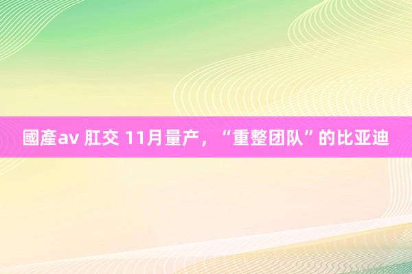 國產av 肛交 11月量产，“重整团队”的比亚迪