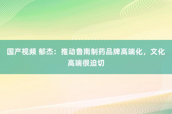 国产视频 郁杰：推动鲁南制药品牌高端化，文化高端很迫切