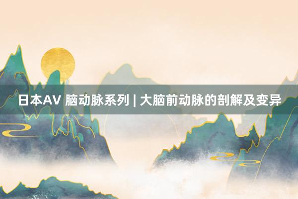 日本AV 脑动脉系列 | 大脑前动脉的剖解及变异