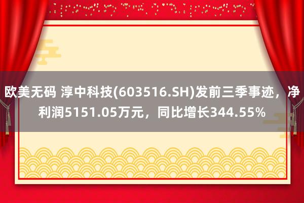 欧美无码 淳中科技(603516.SH)发前三季事迹，净利润5151.05万元，同比增长344.55%