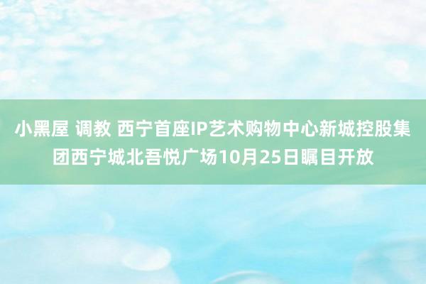 小黑屋 调教 西宁首座IP艺术购物中心新城控股集团西宁城北吾悦广场10月25日瞩目开放