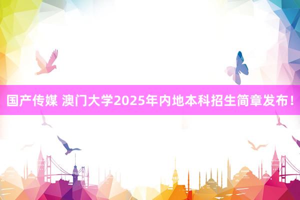 国产传媒 澳门大学2025年内地本科招生简章发布！