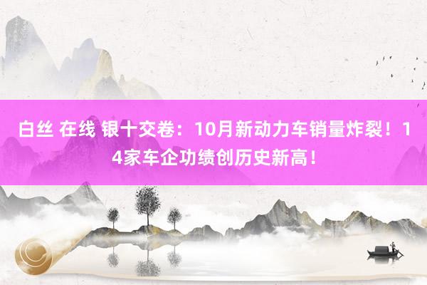 白丝 在线 银十交卷：10月新动力车销量炸裂！14家车企功绩创历史新高！