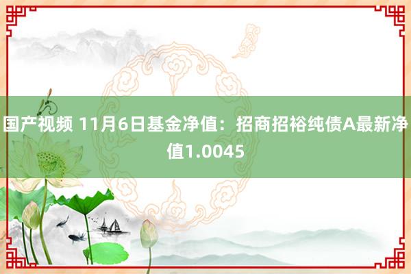 国产视频 11月6日基金净值：招商招裕纯债A最新净值1.0045