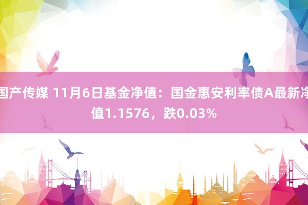 国产传媒 11月6日基金净值：国金惠安利率债A最新净值1.1576，跌0.03%