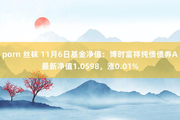 porn 丝袜 11月6日基金净值：博时富祥纯债债券A最新净值1.0598，涨0.01%