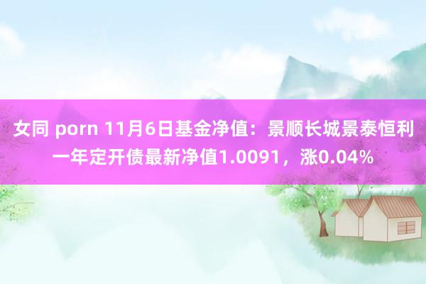 女同 porn 11月6日基金净值：景顺长城景泰恒利一年定开债最新净值1.0091，涨0.04%