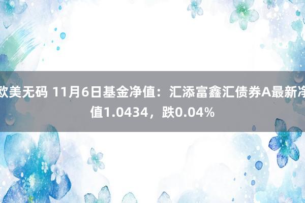 欧美无码 11月6日基金净值：汇添富鑫汇债券A最新净值1.0434，跌0.04%