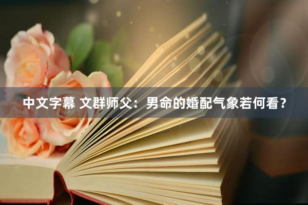 中文字幕 文群师父：男命的婚配气象若何看？