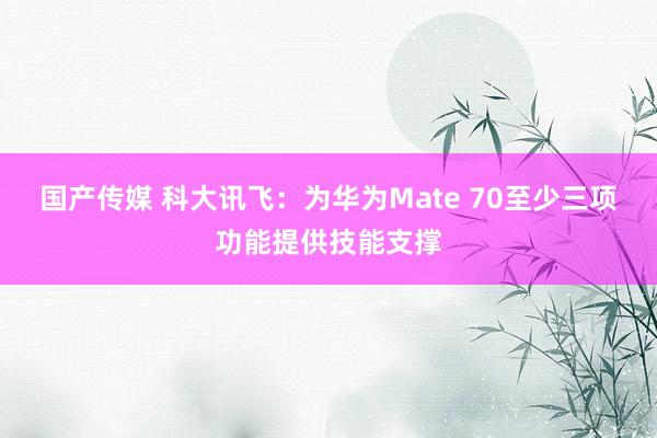 国产传媒 科大讯飞：为华为Mate 70至少三项功能提供技能支撑