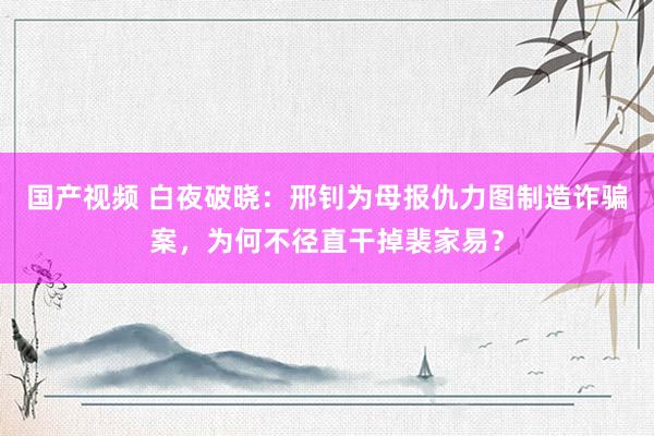 国产视频 白夜破晓：邢钊为母报仇力图制造诈骗案，为何不径直干掉裴家易？