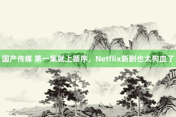 国产传媒 第一集就上循序，Netflix新剧也太狗血了