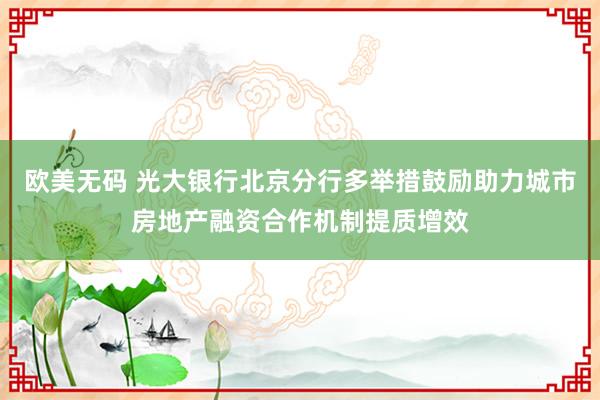 欧美无码 光大银行北京分行多举措鼓励助力城市房地产融资合作机制提质增效