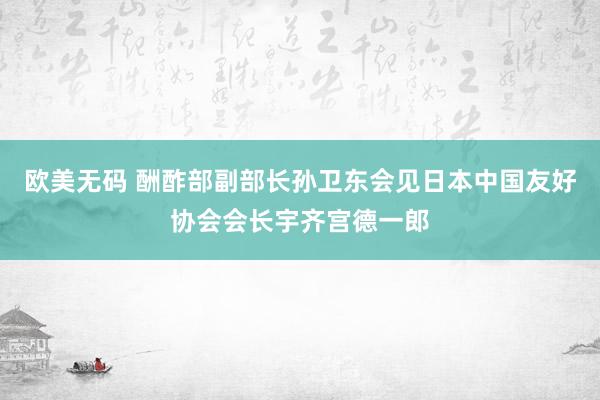 欧美无码 酬酢部副部长孙卫东会见日本中国友好协会会长宇齐宫德一郎