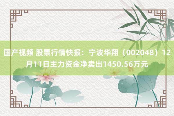 国产视频 股票行情快报：宁波华翔（002048）12月11日主力资金净卖出1450.56万元