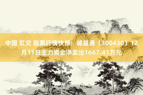 中国 肛交 股票行情快报：诚益通（300430）12月11日主力资金净卖出1667.41万元