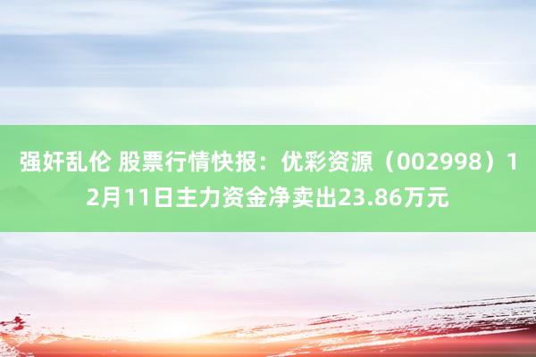 强奸乱伦 股票行情快报：优彩资源（002998）12月11日主力资金净卖出23.86万元