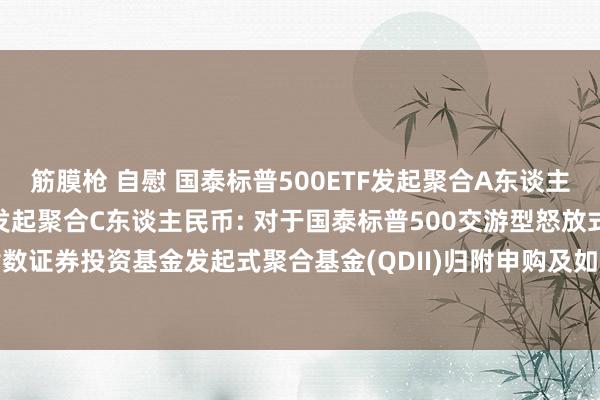 筋膜枪 自慰 国泰标普500ETF发起聚合A东谈主民币，国泰标普500ETF发起聚合C东谈主民币: 对于国泰标普500交游型怒放式指数证券投资基金发起式聚合基金(QDII)归附申购及如期定额投资业务(戒指大额)的公告